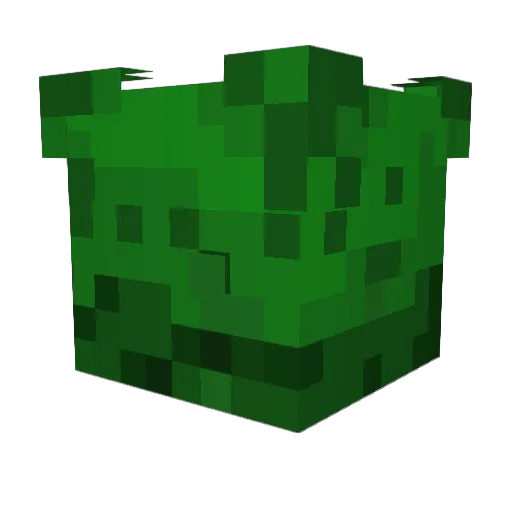 KQTebo Minecraft avatar head, 3D render