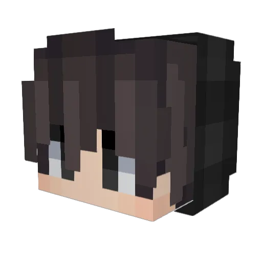 KQ_Feder Minecraft avatar head, 3D render
