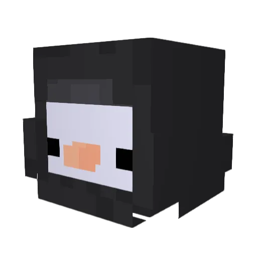 KRUZORE Minecraft avatar head, 3D render