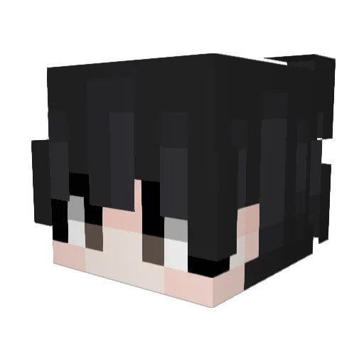 KR_NINE Minecraft avatar head, 3D render