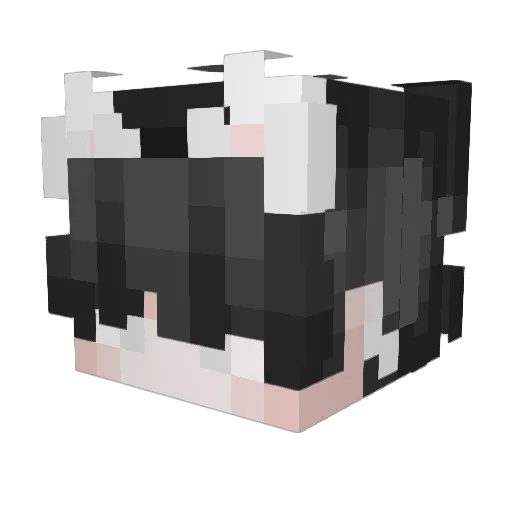 KR_Redips Minecraft avatar head, 3D render
