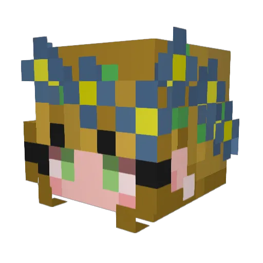 KR_known Minecraft avatar head, 3D render