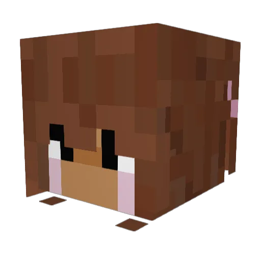KRae12 Minecraft avatar head, 3D render