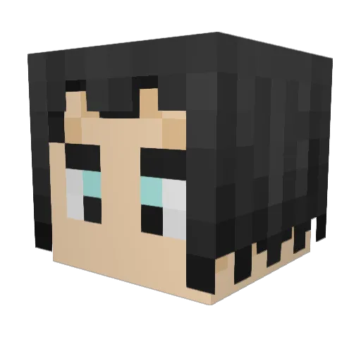 KSG19 Minecraft avatar head, 3D render