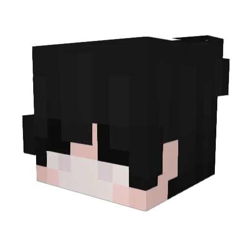 KSenon245 Minecraft avatar head, 3D render
