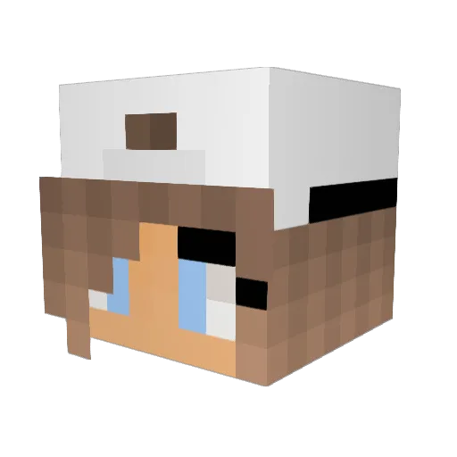KTPenguin Minecraft avatar head, 3D render