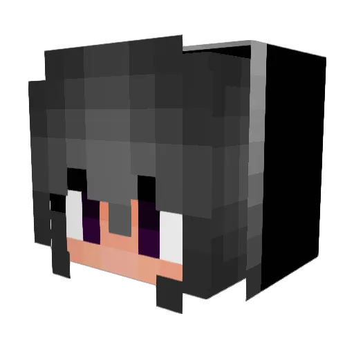 KTXX1005 Minecraft avatar head, 3D render