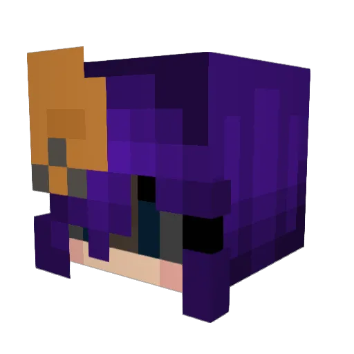 KTyphlo Minecraft avatar head, 3D render