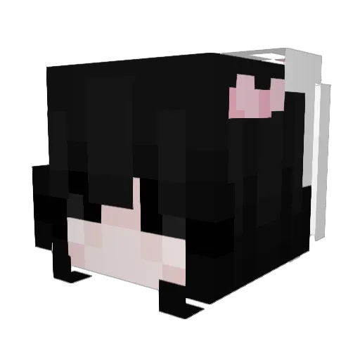 KUROKAMITWINTAIL Minecraft avatar head, 3D render