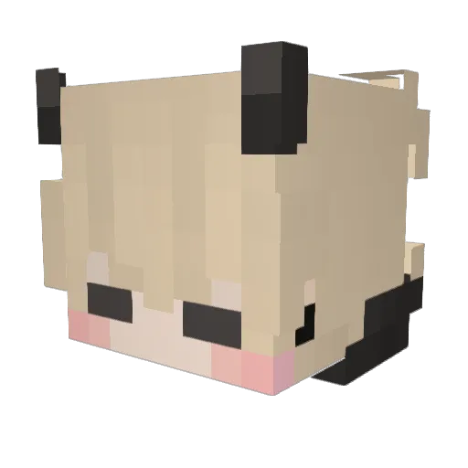 KU____ Minecraft avatar head, 3D render