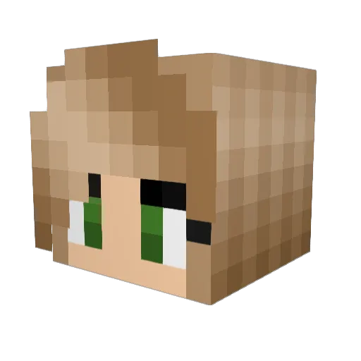 KWPN Minecraft avatar head, 3D render