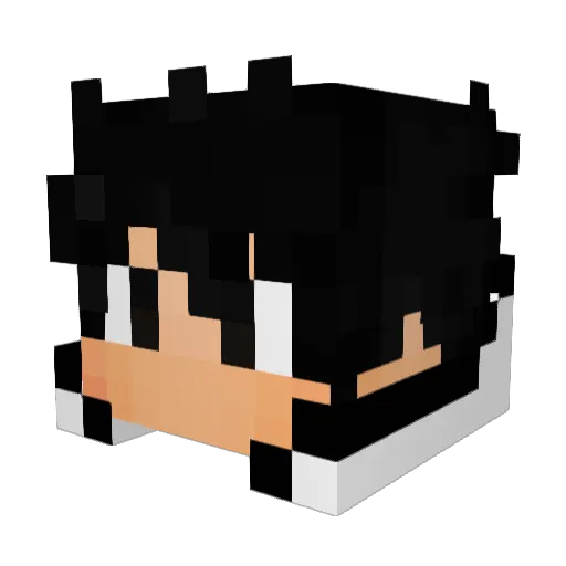 KWSPlays Minecraft avatar head, 3D render
