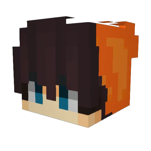 KWWN Minecraft avatar head, 3D render
