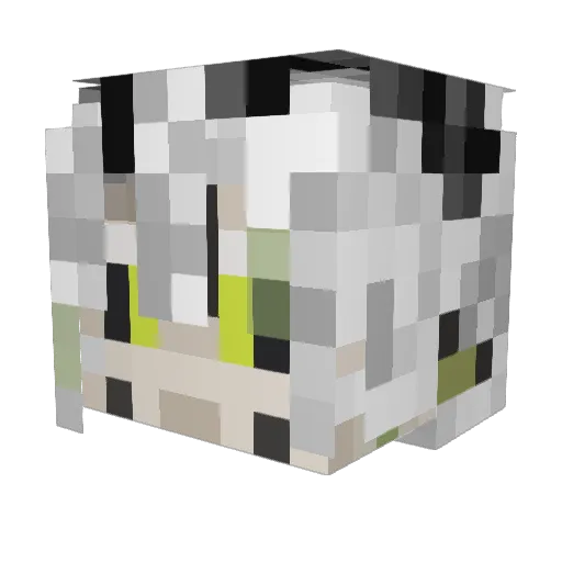 KWise5054 Minecraft avatar head, 3D render