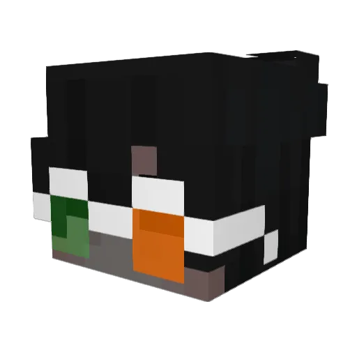 KYANE1234 Minecraft avatar head, 3D render