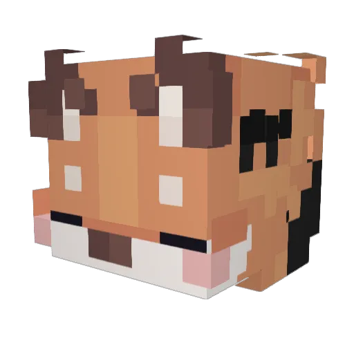 KYKR Minecraft avatar head, 3D render