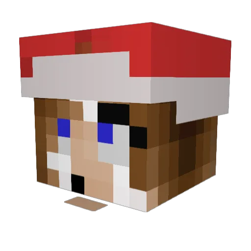 KYLA1204 Minecraft avatar head, 3D render