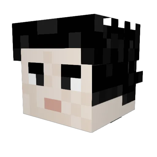 KYRI217 Minecraft avatar head, 3D render