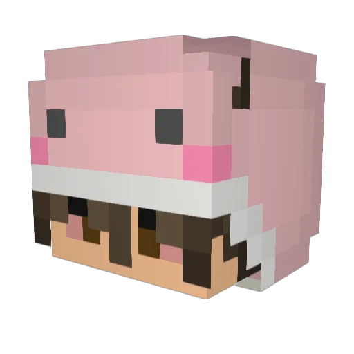 KYlieW98 Minecraft avatar head, 3D render