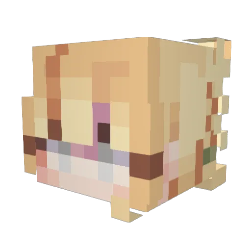 K_A_M_D_Y_N Minecraft avatar head, 3D render