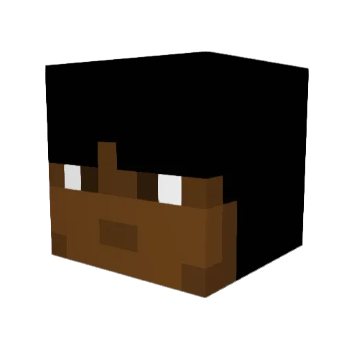 K_Beets Minecraft avatar head, 3D render