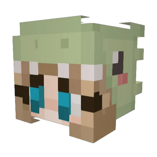 K_Wilmot Minecraft avatar head, 3D render