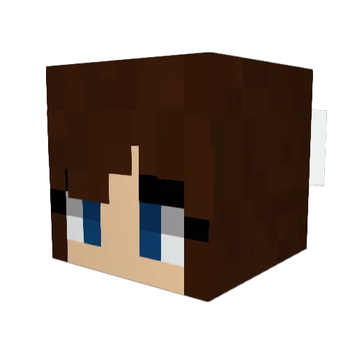 K_bear79 Minecraft avatar head, 3D render