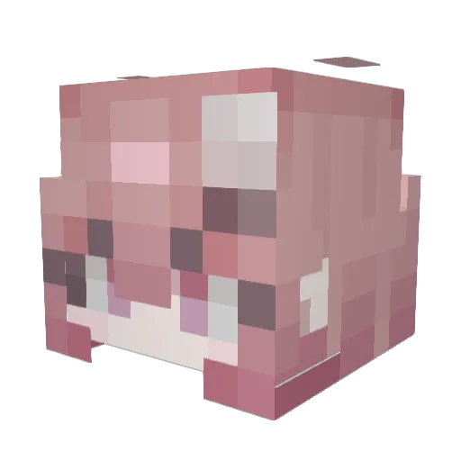 K_soi Minecraft avatar head, 3D render