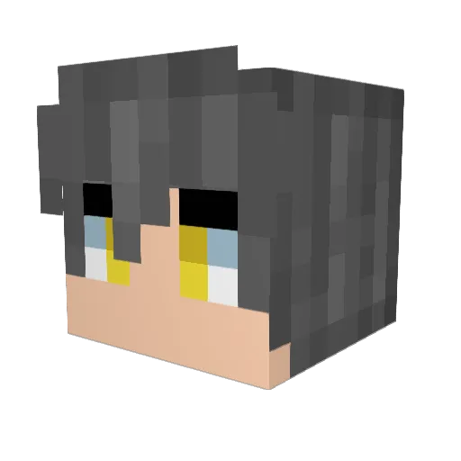 Ka1sernyan Minecraft avatar head, 3D render