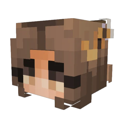 Ka2t1y Minecraft avatar head, 3D render