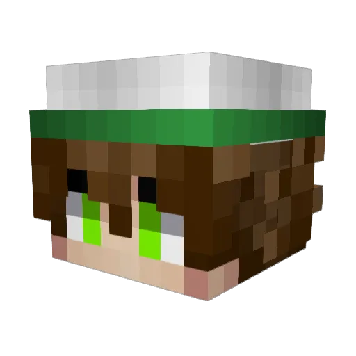 Ka2ton3a Minecraft avatar head, 3D render