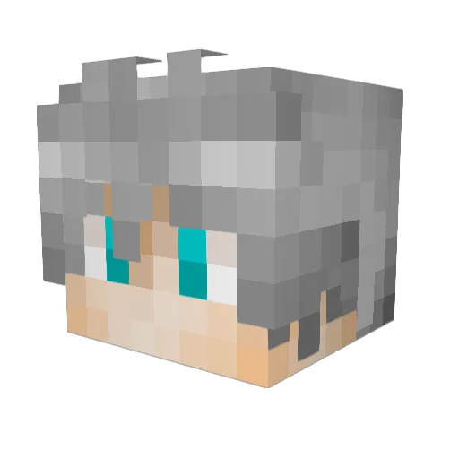 KaCoww Minecraft avatar head, 3D render
