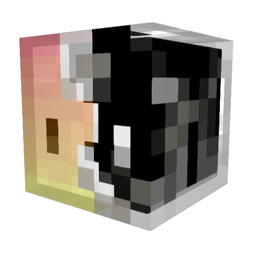 KaKTus2401 Minecraft avatar head, 3D render