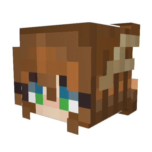 KaShaoQi Minecraft avatar head, 3D render