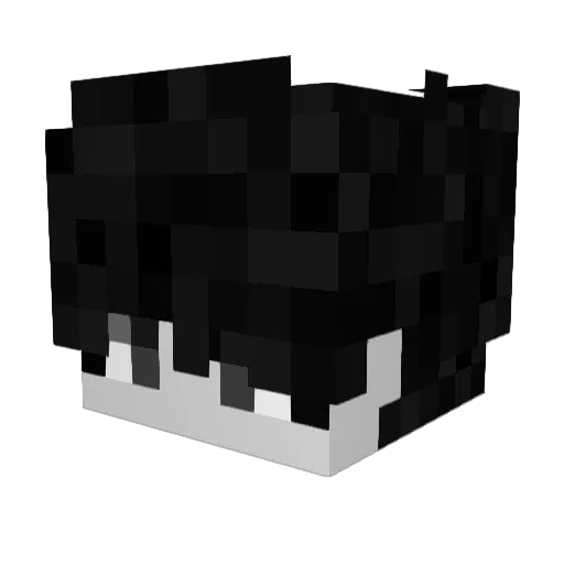 KaShiJohaan Minecraft avatar head, 3D render