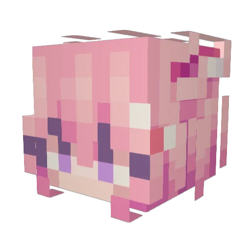 KaaRyan Minecraft avatar head, 3D render