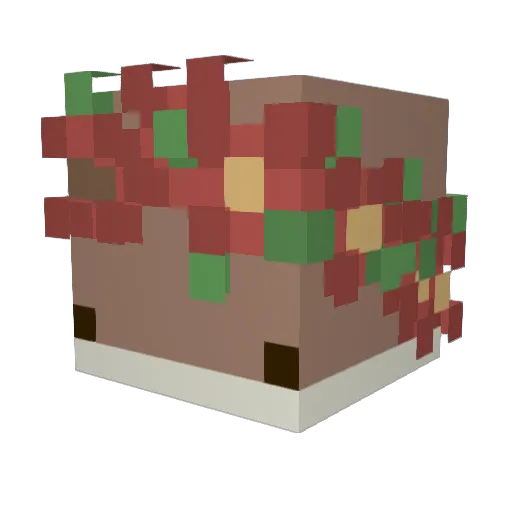 Kaaarrraaa Minecraft avatar head, 3D render