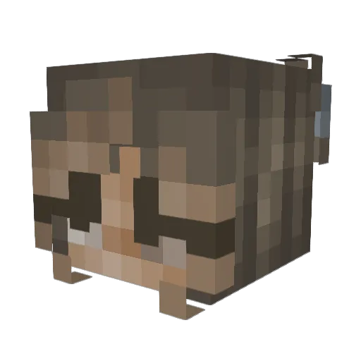 Kaaatss Minecraft avatar head, 3D render
