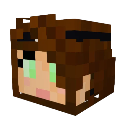 Kaactus Minecraft avatar head, 3D render