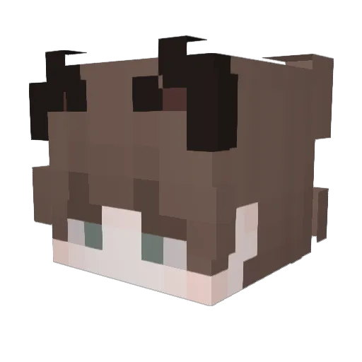 Kaaftze07 Minecraft avatar head, 3D render