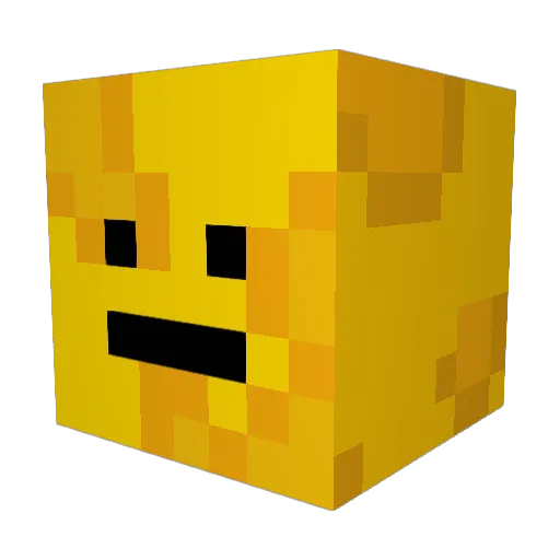 KaasKop070 Minecraft avatar head, 3D render