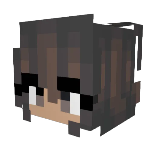 KaasPlank05 Minecraft avatar head, 3D render