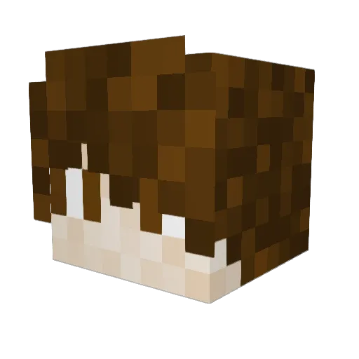 Kaaxerd Minecraft avatar head, 3D render