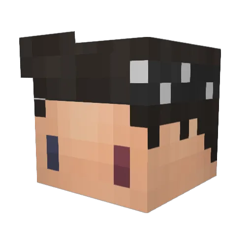 Kabapbro Minecraft avatar head, 3D render