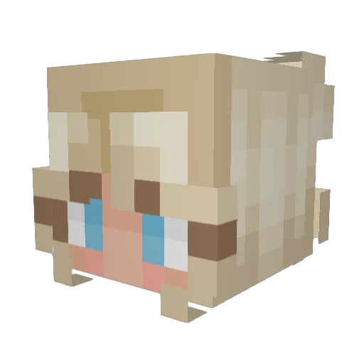 Kablooey_Boy Minecraft avatar head, 3D render