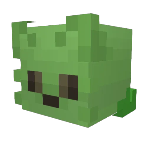 Kabouter2014 Minecraft avatar head, 3D render