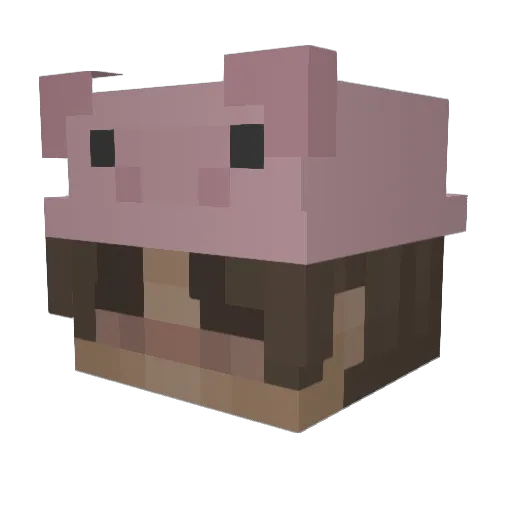 Kabue Minecraft avatar head, 3D render