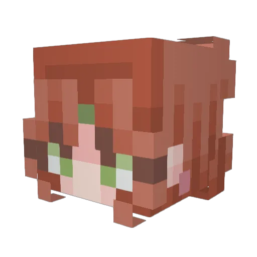Kacespace25 Minecraft avatar head, 3D render