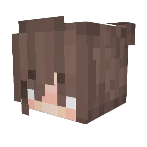 Kacey551 Minecraft avatar head, 3D render