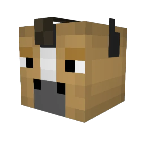 Kacidicc Minecraft avatar head, 3D render